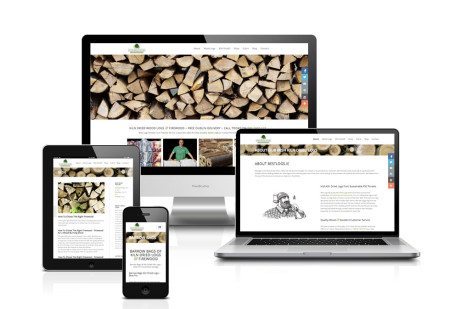 Web Design - Art Direction - Bestlogs.ie